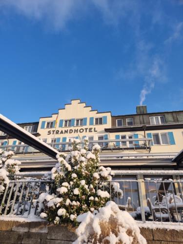 a building with a tree in front of it at Strandhotel Löchnerhaus in Reichenau