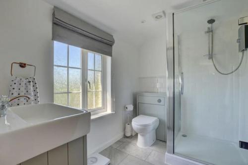 a bathroom with a sink and a toilet and a shower at 2 bed garden cottage nestled on the edge of Exmoor in Bishops Nympton