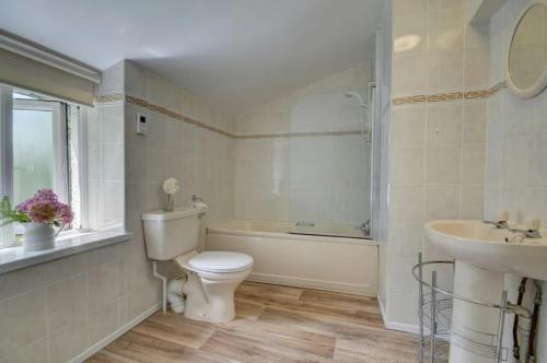 a bathroom with a toilet and a tub and a sink at 2 bed rural retreat nestled in the heart of Exmoor in Parracombe