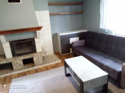 a living room with a couch and a fireplace at Ostoja Jarząbka in Wąsewo