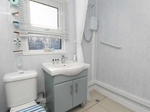 ein Bad mit einem Waschbecken, einem WC und einem Fenster in der Unterkunft Pass the Keys Comfortable 2 Bed Riverside Chalet near Snowdonia in Caernarfon
