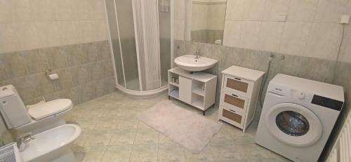 a bathroom with a toilet sink and a washing machine at Apartma pri Boru in Ptuj