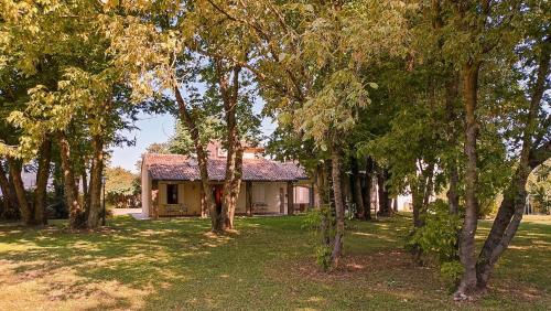 a house with a lot of trees in front of it at La casetta nel bosco in Mantova