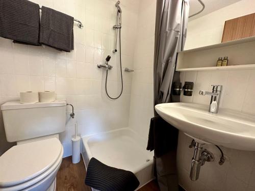 uma casa de banho com um WC, um lavatório e um chuveiro em Cozy place for 2 near Zermatt em Täsch