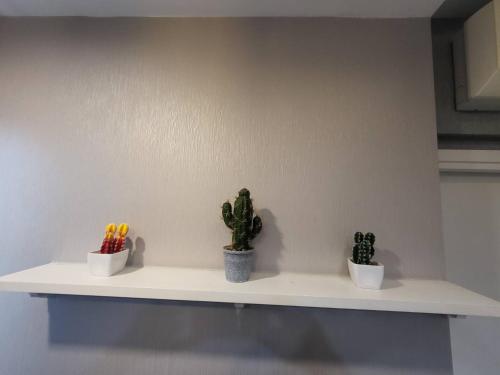 a shelf with three cactuses and three plants on it at The patio condo Bang saen in Ban Bang Saen (1)