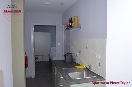 Virtuvė arba virtuvėlė apgyvendinimo įstaigoje Relaxed Apartments Haarlem