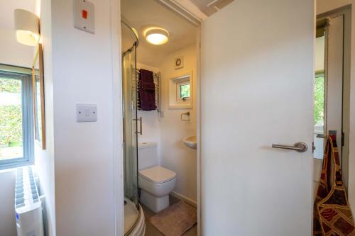 a small bathroom with a toilet and a shower at The Potting Shed in Woodstock