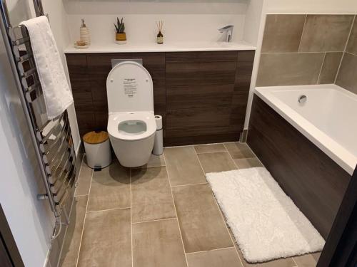 a bathroom with a toilet and a sink and a tub at Ackroyd House, Edinburgh Way in Harlow