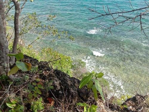a view of the ocean from a bluff at Siquijor Cottage Lynn with Solar System in Maria