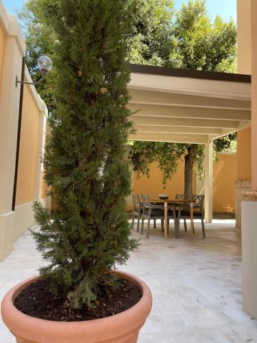 a christmas tree in a pot on a patio at Palazzo Pitagora in Taranto