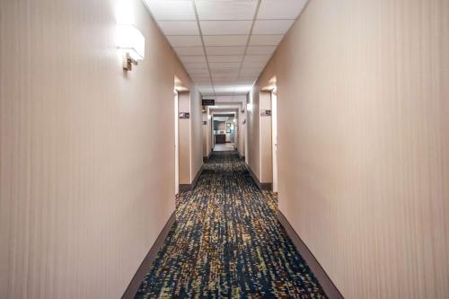 Фотография из галереи Hampton Inn Winter Haven в городе Уинтер-Хейвен
