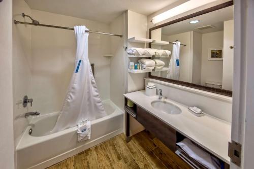 a bathroom with a tub and a sink and a mirror at Hampton Inn Winter Haven in Winter Haven