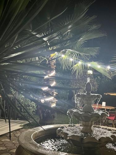 a fountain in the middle of a garden at night at Golden Fleece Hotel in Ureki