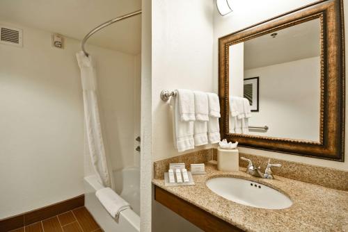 a bathroom with a sink and a mirror at Hilton Garden Inn Sarasota-Bradenton Airport in Sarasota