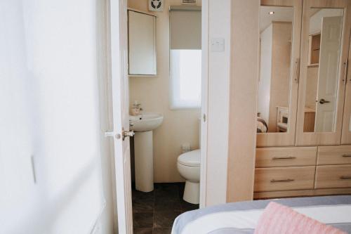 a bathroom with a white toilet and a sink at Caravan with sea views on the coast near St Davids in Pembrokeshire