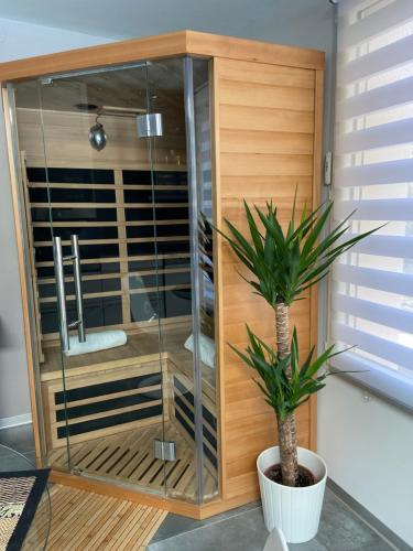 a glass shower with a plant in a room at L'Eden in Saint-Rémy-lès-Chevreuse