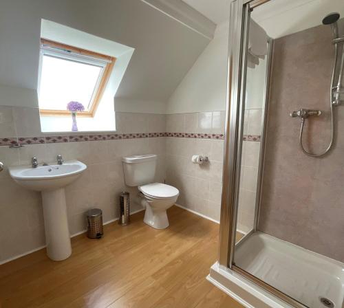 a bathroom with a toilet and a sink and a shower at Blaeberry Cottage in Killean