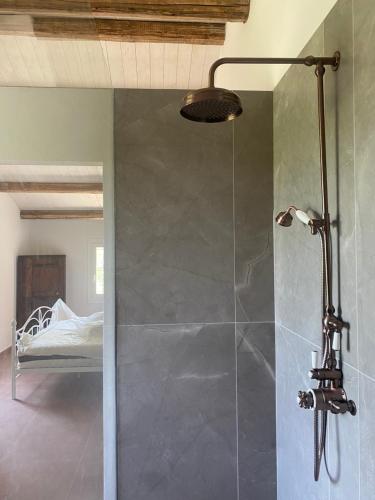 a glass shower in a bedroom with a bed at Relaxing house with exclusive swimming pool, close to Imola and Faenza, 4 bathrooms in San Mauro