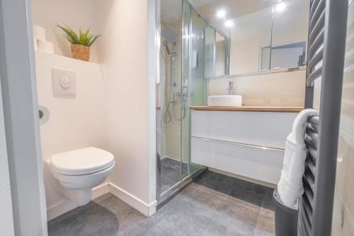 une salle de bain avec toilettes et douche en verre dans l'établissement Triplex cosy, à Reims