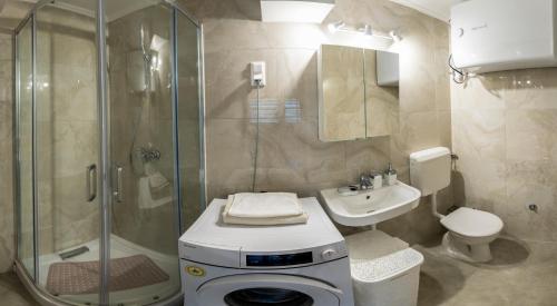 ティサウーイバーロシュにあるTisza Apartのバスルーム(シャワー、トイレ、シンク付)