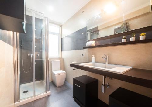 een badkamer met een wastafel, een douche en een toilet bij Apartamento Victoria in Ferrol