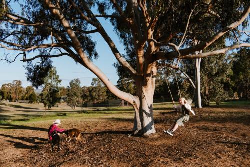 a man and a woman and a dog standing next to a tree at 'Wilpine' Poolside Country Luxury near Town in Mudgee
