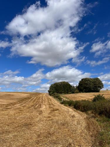 a dirt road in the middle of a field at The Honeysuckle Coop in Grantham