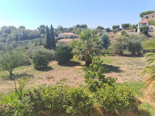 a garden with trees and bushes in a field at Appartement Alpes Maritimes in Saint-Paul-de-Vence