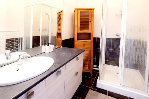 a bathroom with a sink and a shower at Spacieux T3 centre ville in Montluçon