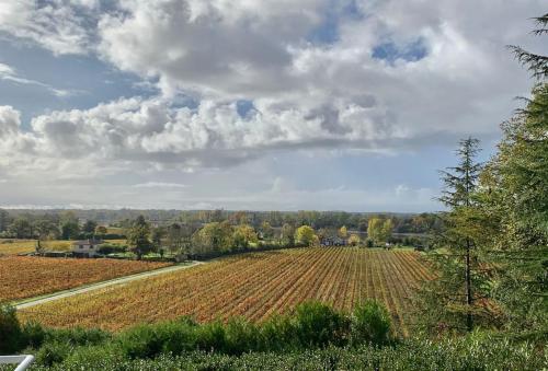 a field of crops with a cloudy sky at 1986MALAGAR in Baurech