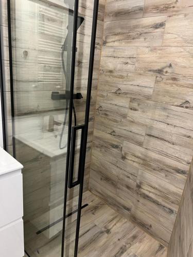 a bathroom with a shower with a wooden wall at Apartament Michaś in Szklarska Poręba
