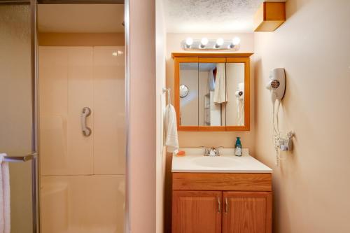 uma casa de banho com um lavatório, um chuveiro e um espelho. em Pennsylvania Countryside Retreat with Deck and Yard! em Emlenton
