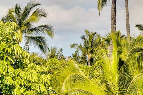 Zahrada ubytování 1 Mi to Beach Kailua-Kona Condo with Pool Access!