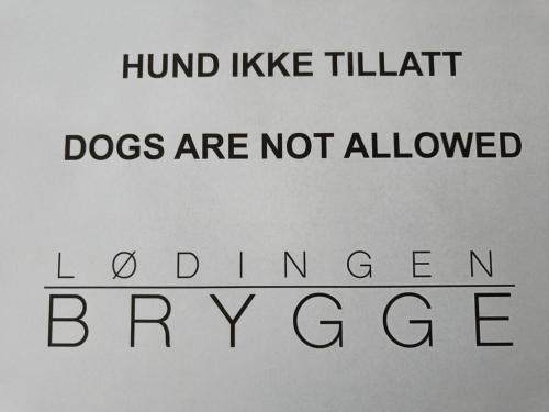 a sign with the words hurt like tillflat dogs are not allowed at Lødingen Brygge in Lødingen