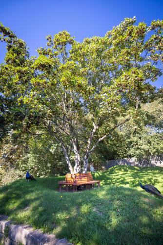 a picnic table in the grass under a tree at Hindu Monastery - Shree Peetha Nilaya Ashram in Springen