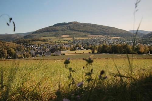 a field of grass with a mountain in the background at Ferienwohnung Elim in Olsberg