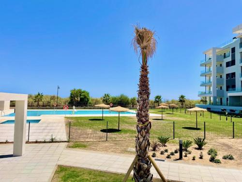 un palmier en face d'une piscine dans l'établissement Residencial Camaleones by AC REAL, à Isla Canela