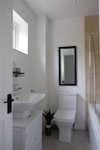 a bathroom with a toilet and a sink and a mirror at Cosy Chester home - 0.6 miles from the centre in Chester