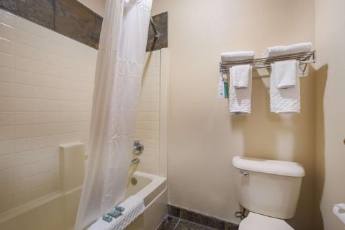 a bathroom with a toilet and a shower with towels at Best Western Northwest Lodge in Boise