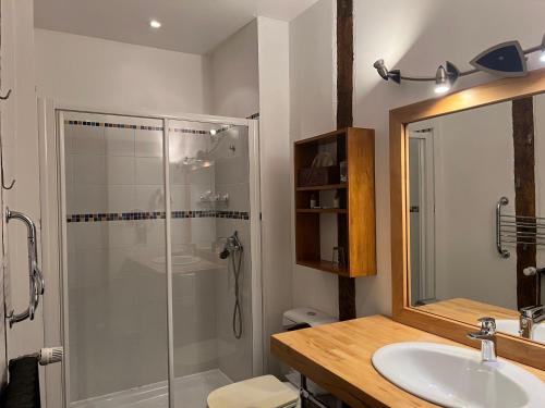 uma casa de banho com um chuveiro, um lavatório e um espelho. em Chambres d'Hôtes Les Tapies em Agen dʼAveyron