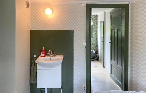 baño con lavabo y pared verde en 4 Bedroom Beautiful Home In Vimmerby, en Vimmerby