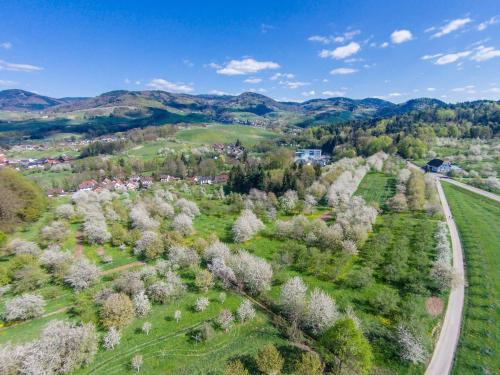 A bird's-eye view of The Himmelsteig