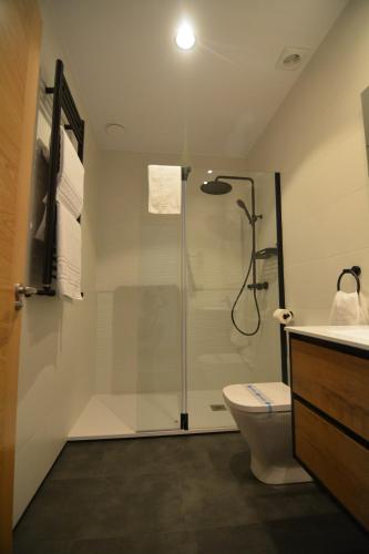 y baño con ducha, aseo y lavamanos. en Apartamentos Fuente La Pipa, en Avín