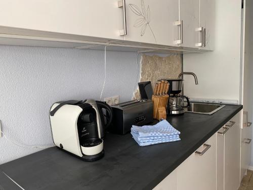 a kitchen counter with a toaster and a microwave on it at Ferienwohnung Jardin im Kunsthaus in Greifenberg