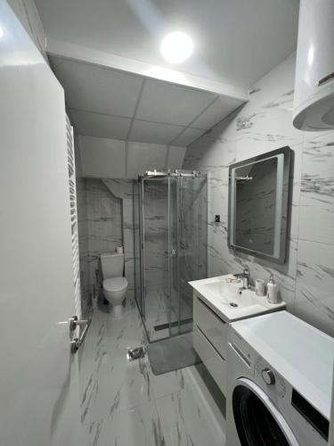 a bathroom with a shower and a sink and a toilet at Apartman Aranđelovac in Arandjelovac