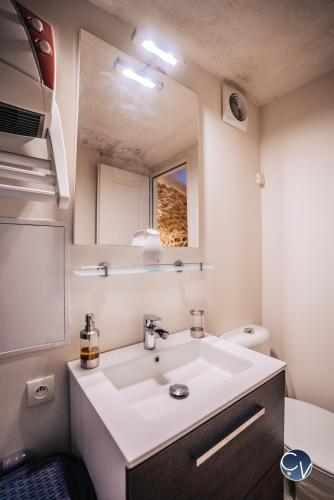 une salle de bain avec un lavabo et un miroir dans l'établissement Agréable maison de village avec terrasse, à Pougnadoresse