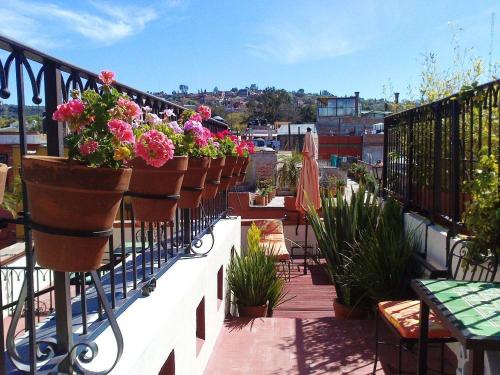 a balcony with a bunch of potted plants on it at Hotel Antigua Casa de Piedra in San Miguel de Allende