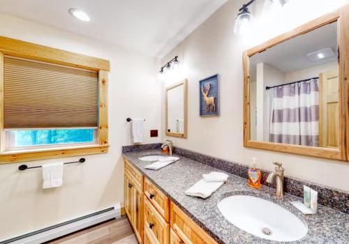 uma casa de banho com um lavatório e um espelho em Kingslanding Cabin em Carrabassett