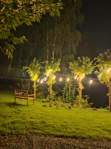 Zahrada ubytování Bryn Mynach Guest House