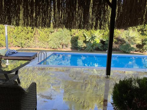 - une piscine avec un parasol, une table et une chaise dans l'établissement Antalya Holiday Villa, à Dosemealti